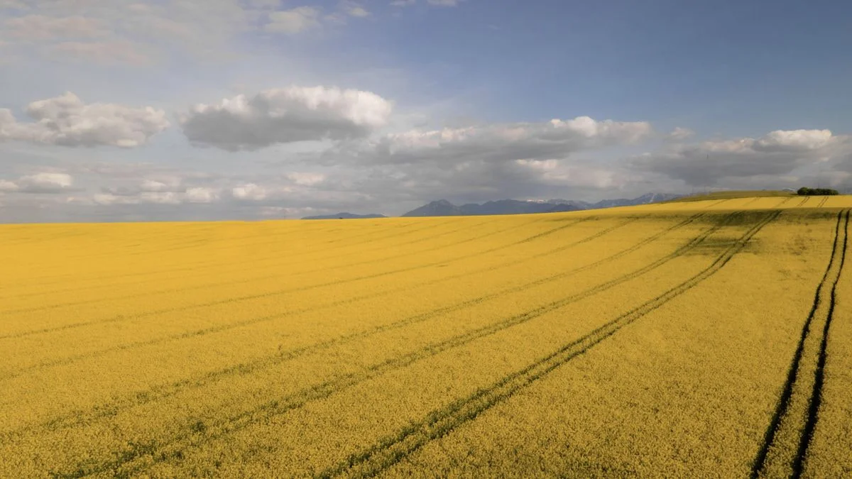 Hedge fund Millennium hired the man who built Squarepoint's agricultural business