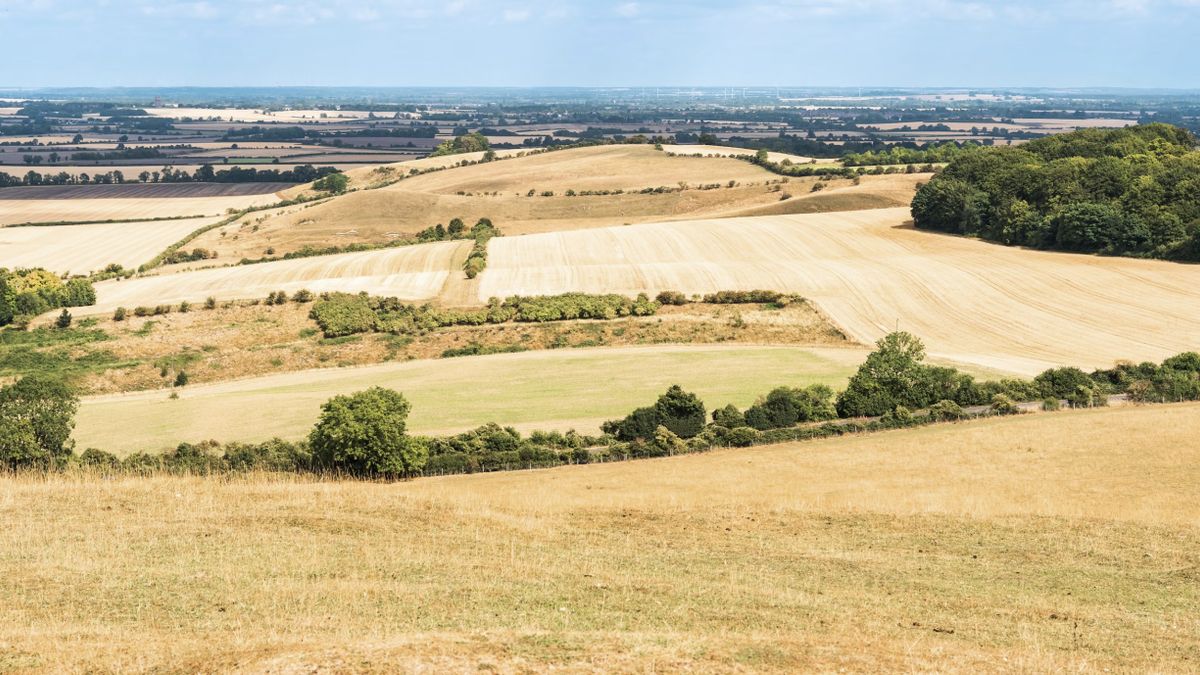 It's hot. So are people who can help hedge funds predict the weather