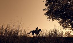 One of Barclays' most senior women quit to become treasurer of Lloyds