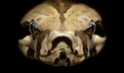 “Learn Python for hedge fund jobs, and don’t be afraid of legacy systems”