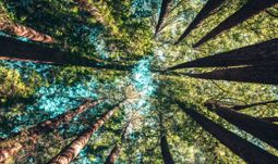 Everything you need to know about ESG jobs in finance