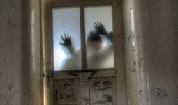 CLO hiring is back from the dead