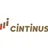 Cintinus Steuerberatung GmbH