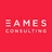 Eames Consulting