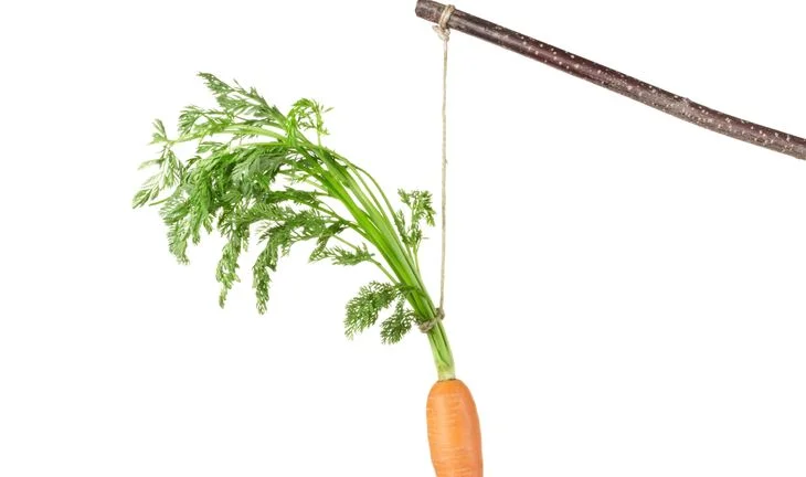 carrot on a stick