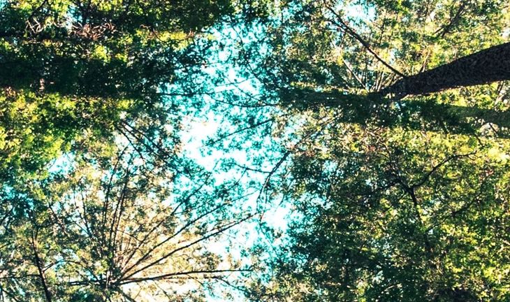 Surprise! Credit Suisse cut its ESG Research team in Europe