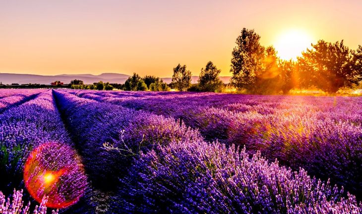 UBS's ex-head of Americas credit trading resurfaced in Provence