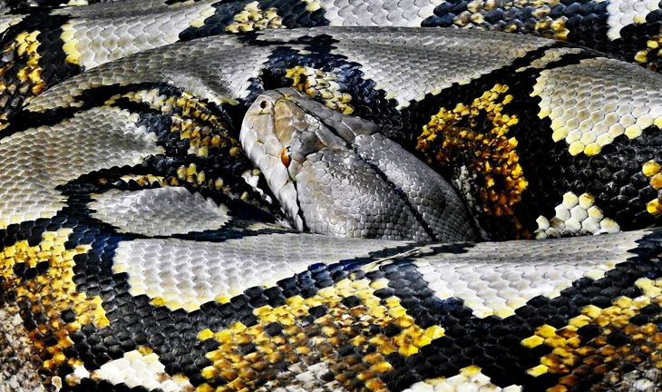 10 Python questions from a top hedge fund