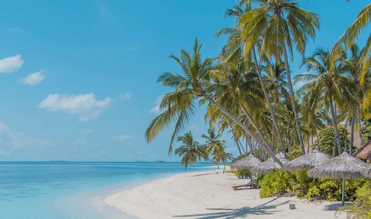 Hong Kong bankers are leaving to work in the Maldives