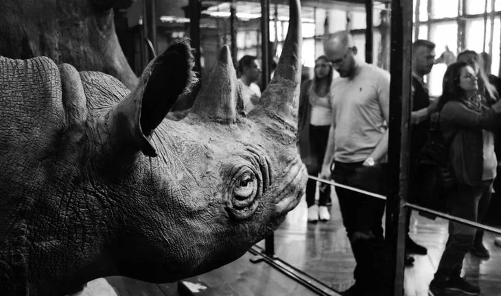 McKinsey & Co. suggests traders are still a dying breed