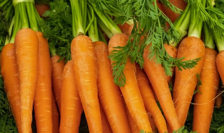 Goldman Sachs London staff are getting a fruit and veg stall of their own