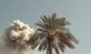 Dubai hedge fund managers are unfazed by the war: "The UAE could come out very strongly from this"