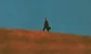 a banker walking uphill against a blue sky